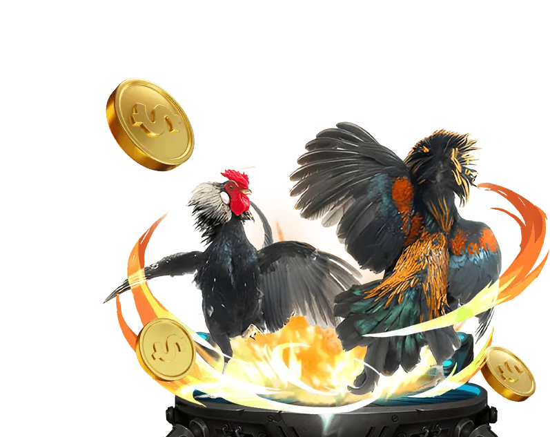 Hướng dẫn cá cược thể thao tại nhatvip casino